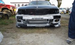 ローレル（c-35）01